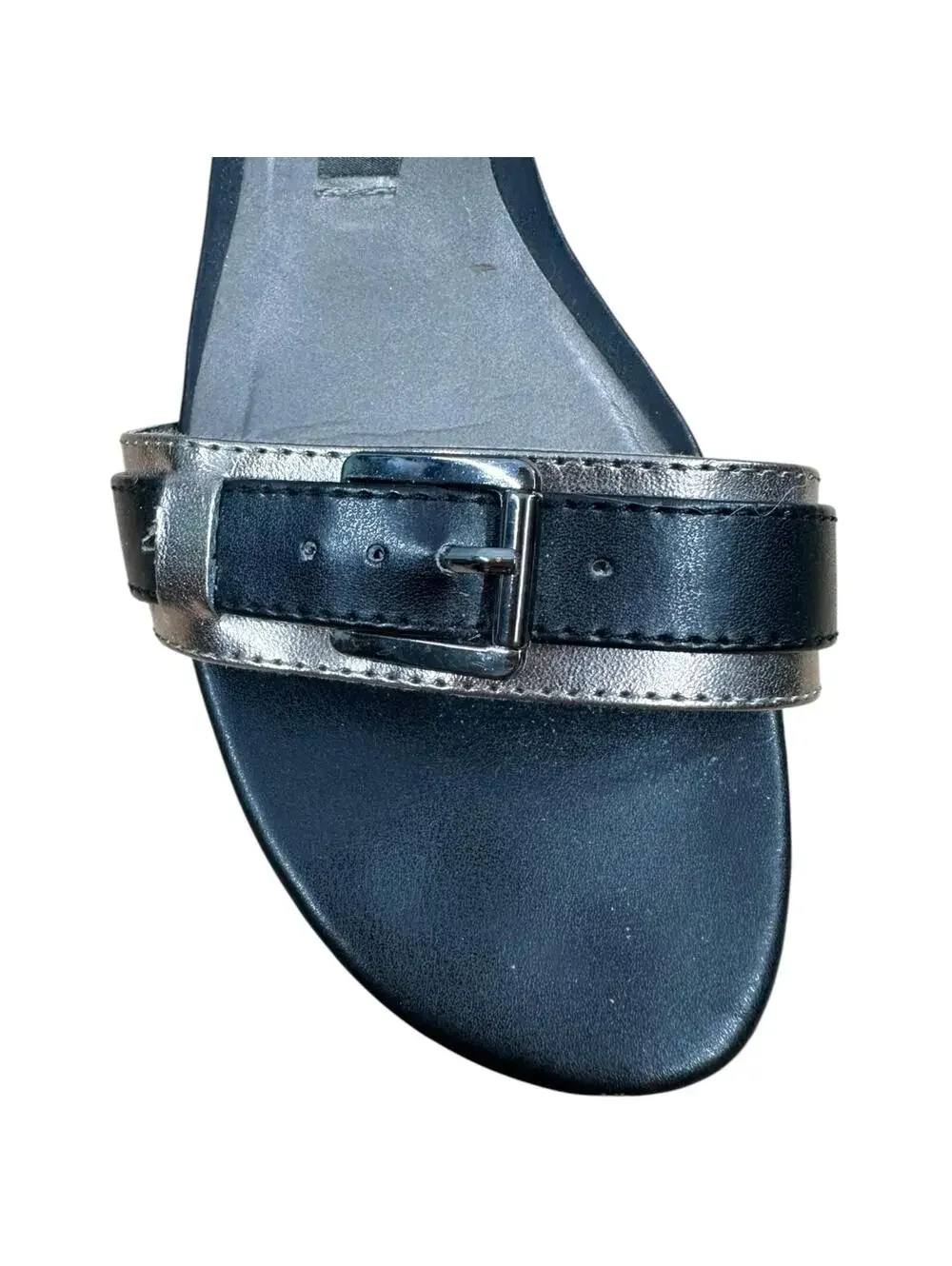 Dana Buchman this pair